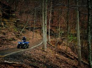 2016.yamaha.grizzly4x4eps.blue_.front-left.far_.riding.on-path.jpg