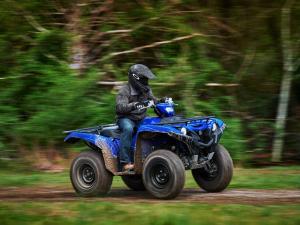 2016.yamaha.grizzly4x4eps.blue_.right_.riding.on-path.jpg