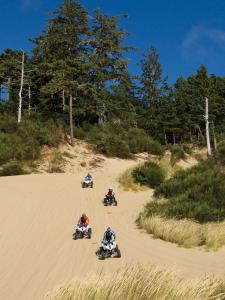 location.2011.atvs_.riding.by-sand-dunes.oregon-winchester.jpg